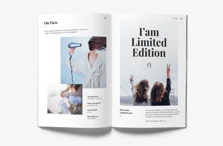 Розворот сторінки видання Limited Edition